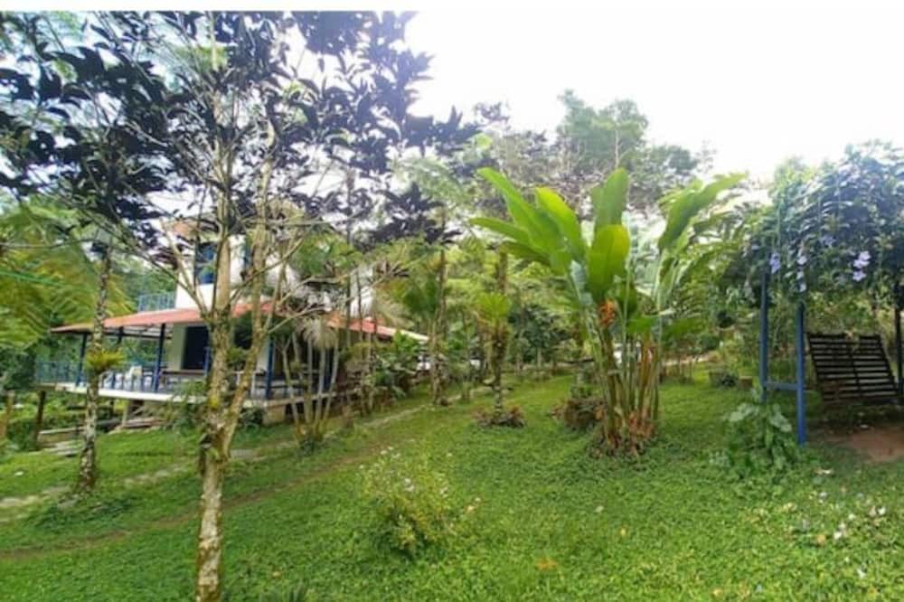 Photo of Outdoor in Los Cacaos