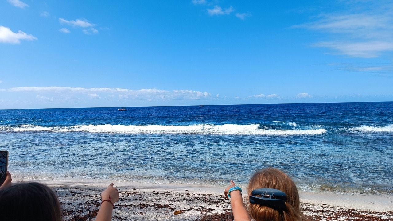 Photo of Others in Pihaena