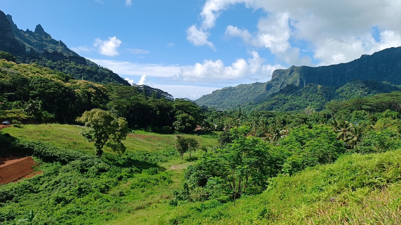 Photo of Others in Pihaena