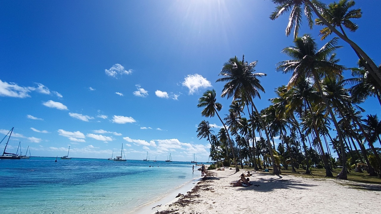 Photo of Others in Pihaena