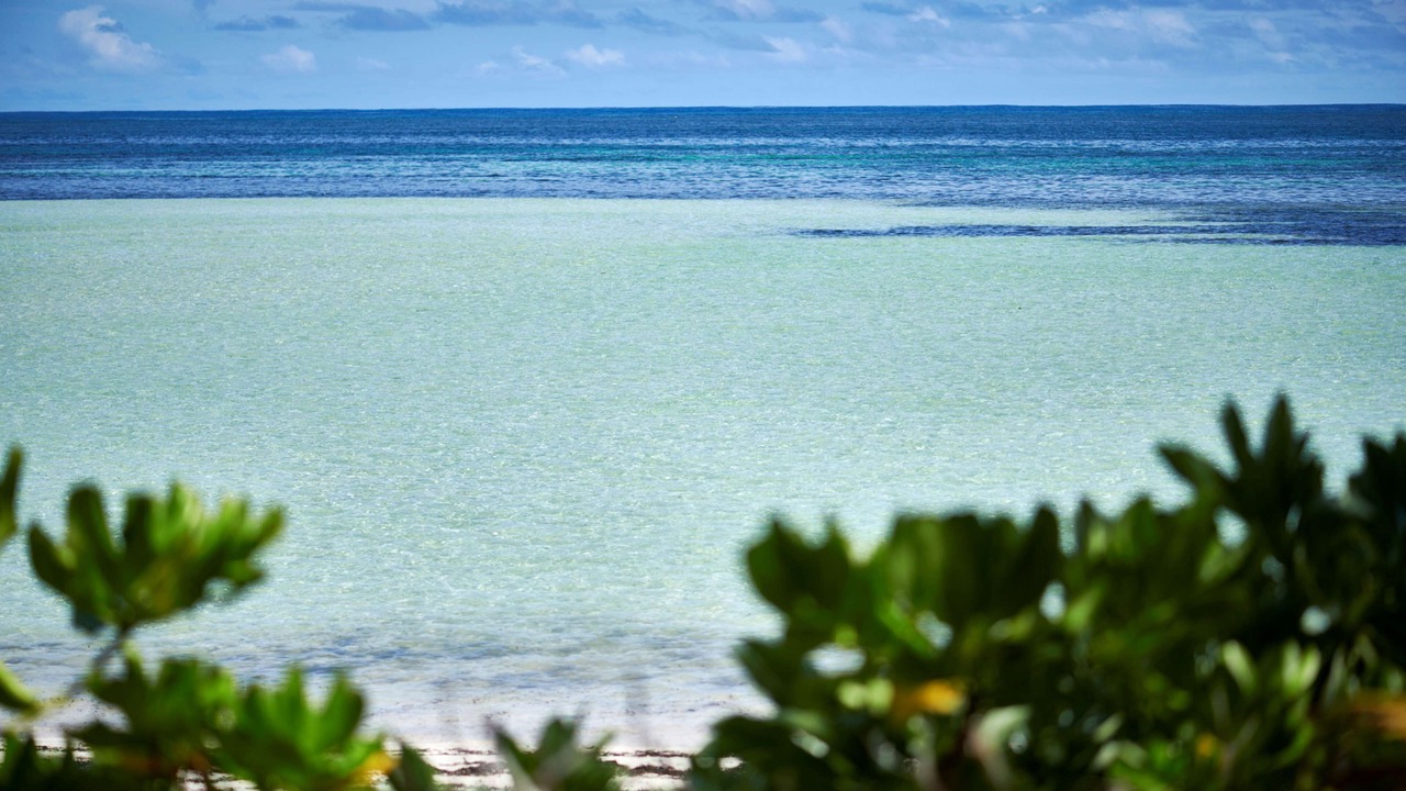Photo of Others in Seychelles