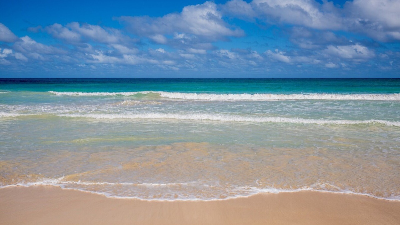 Photo of Outdoor in Bavaro