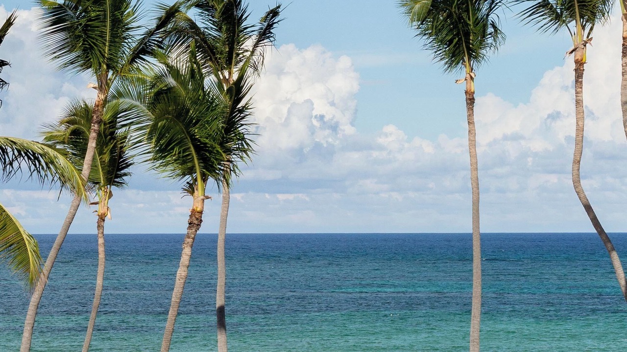 Photo of Outdoor in Bavaro