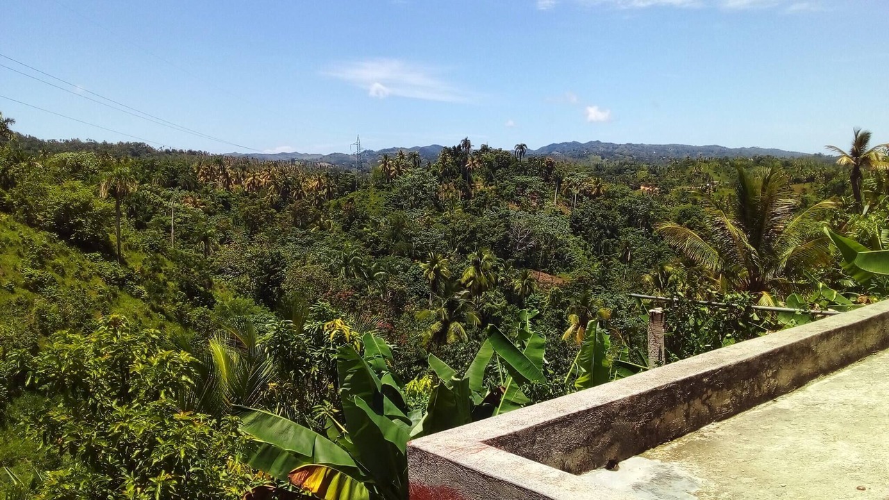 Photo of Outdoor in Puerto Bahia