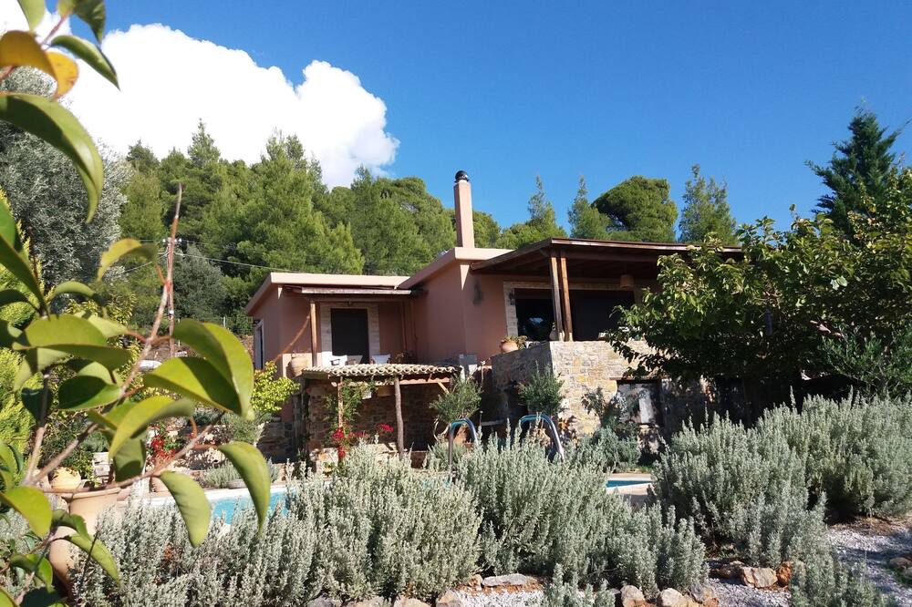 Photo of Outdoor in Nerotrivia