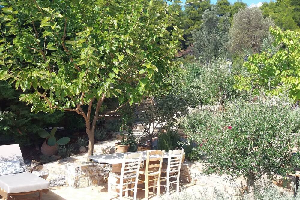 Photo of Outdoor in Nerotrivia