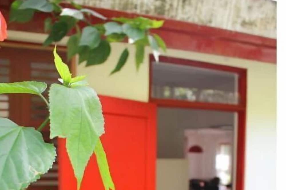 Photo of Outdoor in Los Cacaos