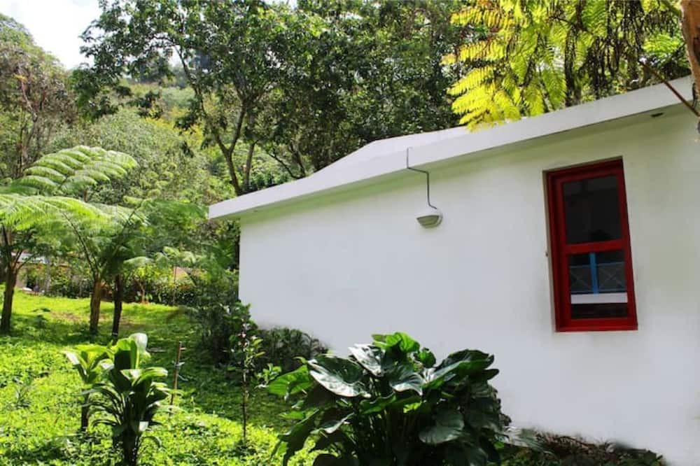 Photo of Outdoor in Los Cacaos