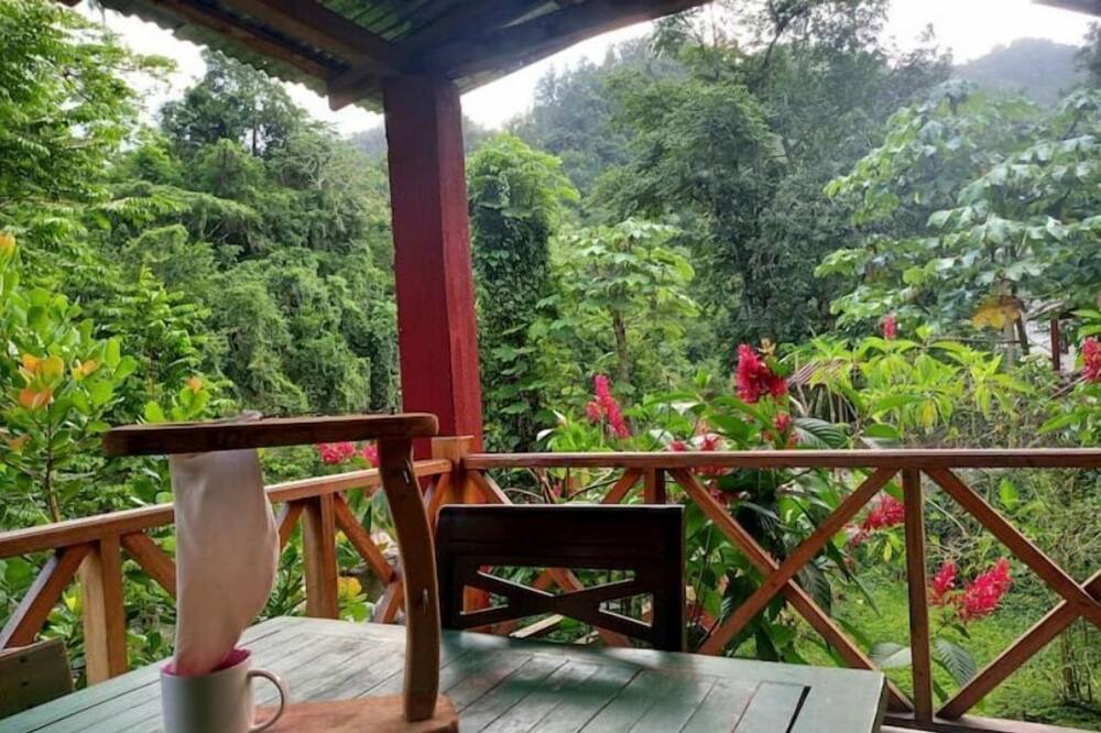 Photo of Outdoor in Los Cacaos