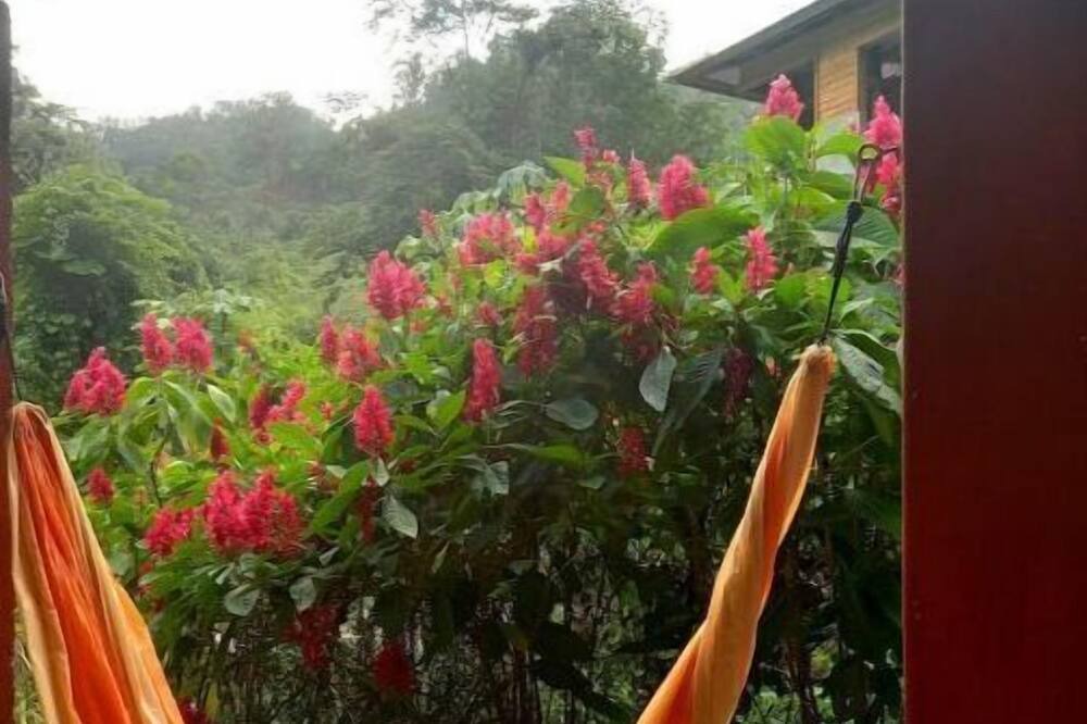 Photo of Outdoor in Los Cacaos