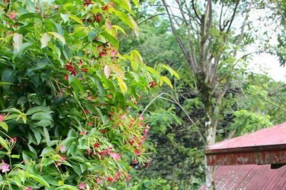 Photo of Outdoor in Los Cacaos