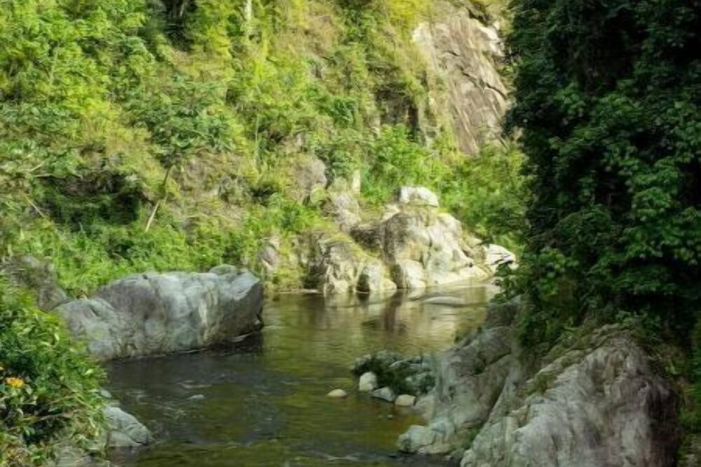 Photo of Others in Los Cacaos