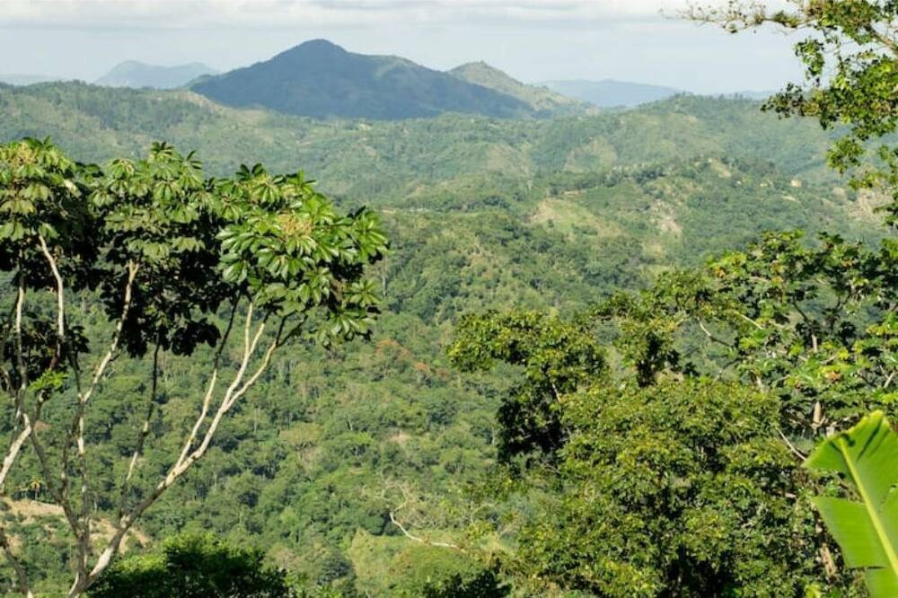 Photo of Others in Los Cacaos