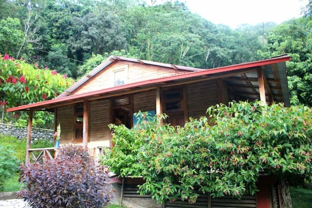 Photo of Outdoor in Los Cacaos