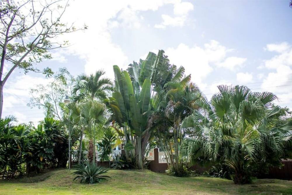 Photo of Outdoor in Sanchez