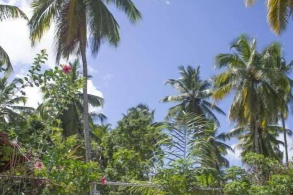 Photo of Outdoor in Sanchez