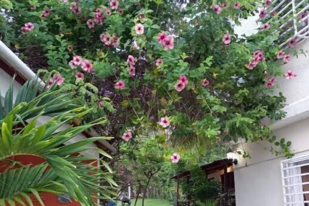 Photo of Outdoor in Sanchez