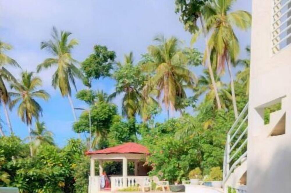 Photo of Outdoor in Sanchez