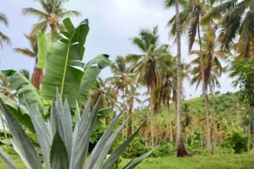 Photo of Outdoor in Sanchez