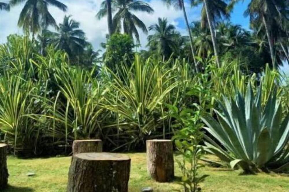 Photo of Outdoor in Sanchez