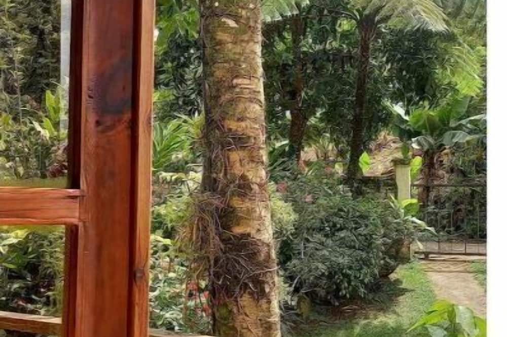 Photo of Outdoor in Cambita Garabitos
