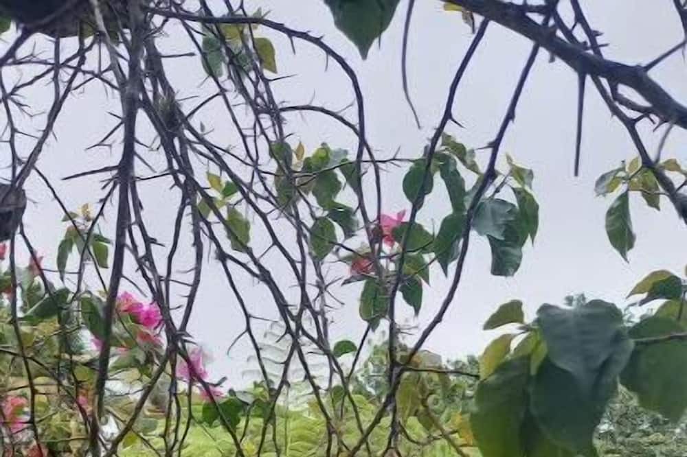 Photo of Outdoor in Cambita Garabitos