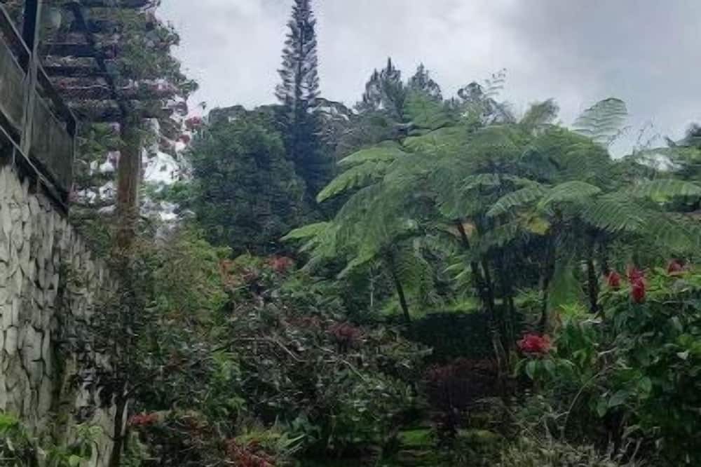 Photo of Outdoor in Cambita Garabitos