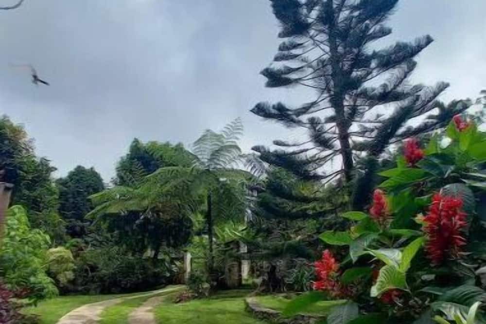 Photo of Outdoor in Cambita Garabitos