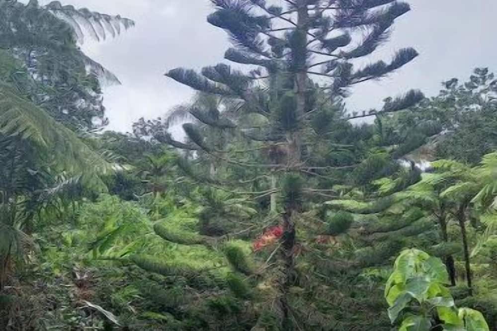 Photo of Outdoor in Cambita Garabitos