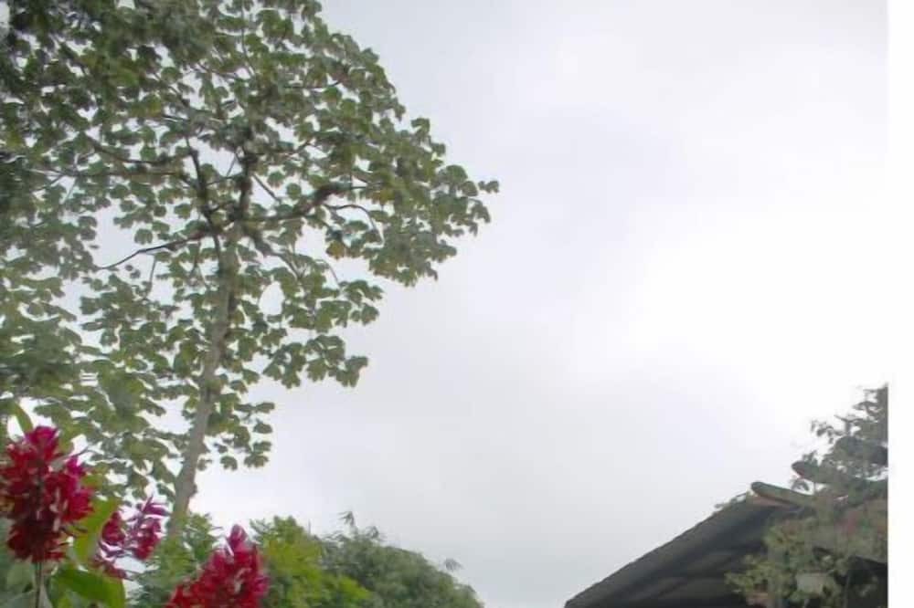 Photo of Outdoor in Cambita Garabitos