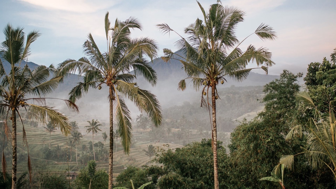 Photo of Outdoor in Beraban