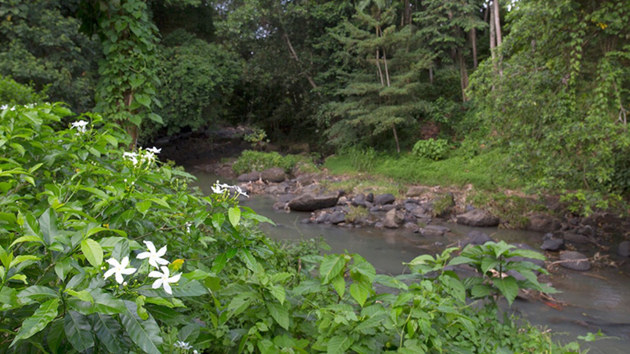 Photo of Outdoor in Beraban