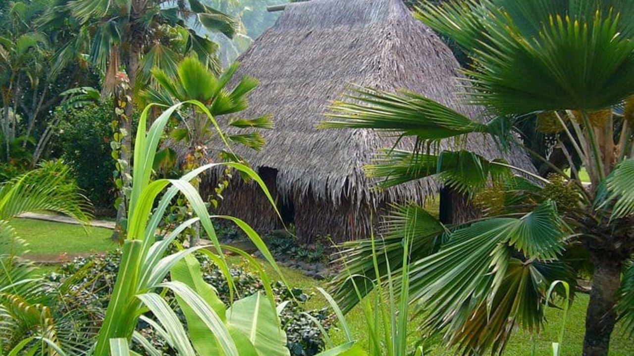 Photo of Others in Cuvu