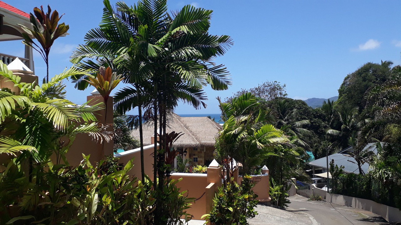 Photo of Outdoor in Anse Royale