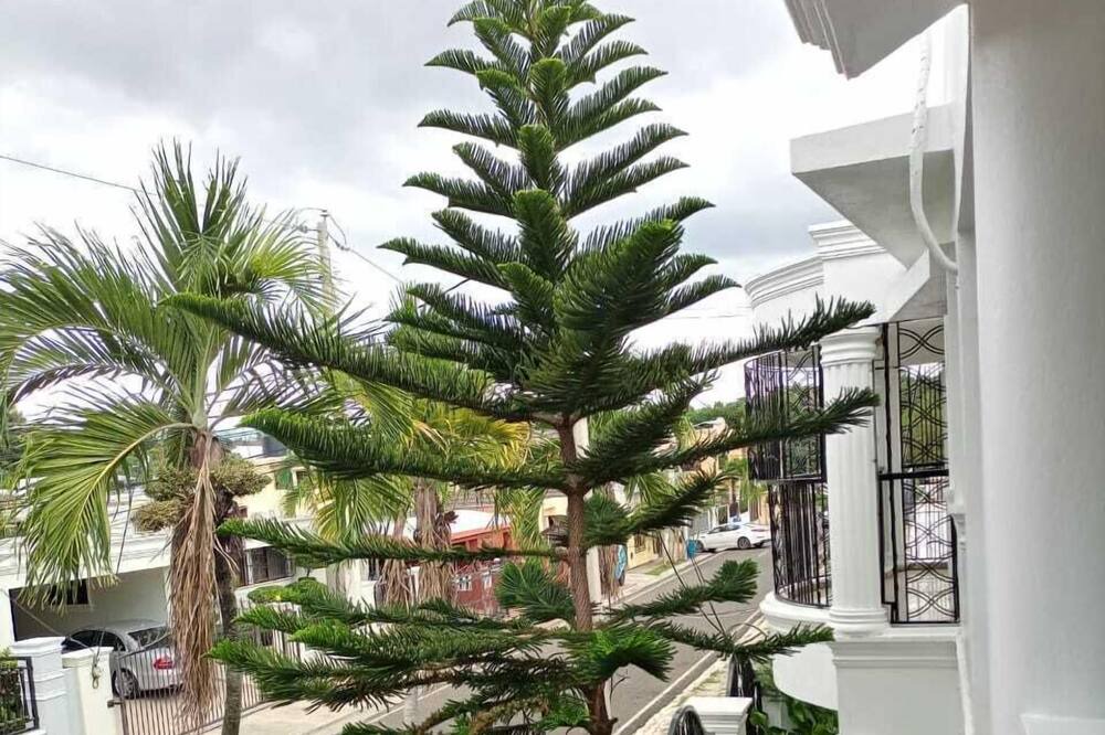 Photo of Patio Balcony in Santiago Province
