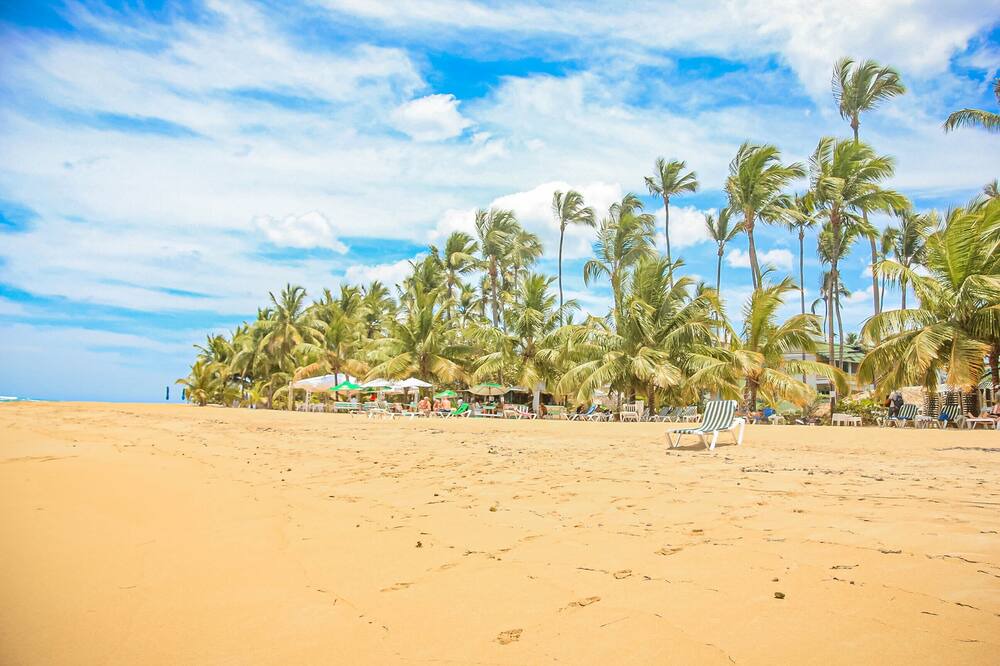 Photo of Others in Las Terrenas