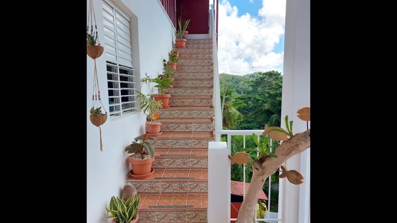 Photo of Outdoor in Samana