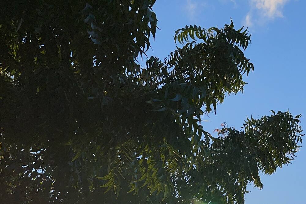 Photo of Outdoor in Villa Isabela