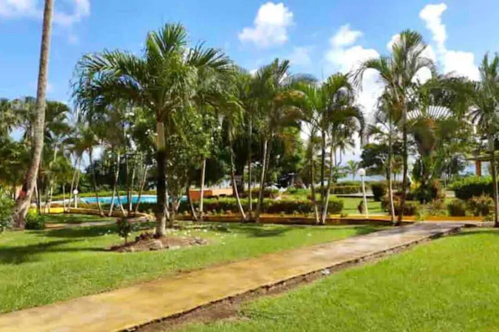 Photo of Outdoor in Sanchez