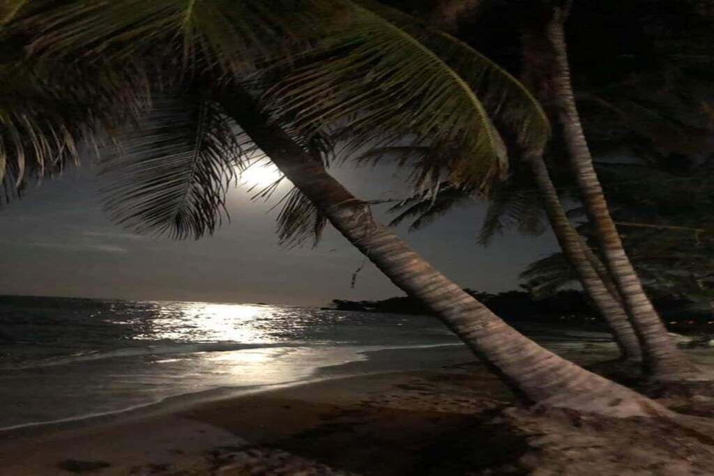 Photo of Others in La Mulata