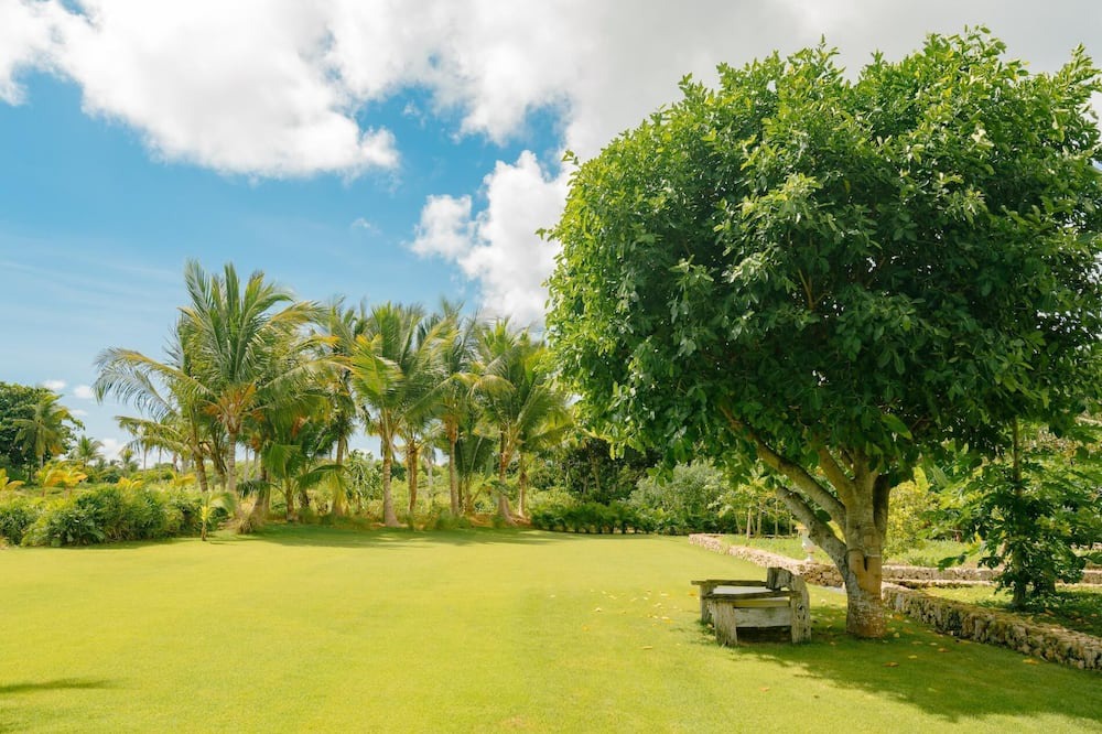 Photo of Others in Punta Cana