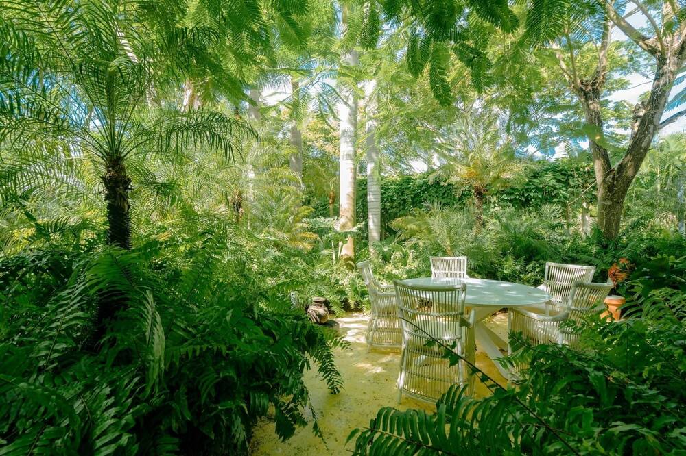 Photo of Outdoor in Punta Cana