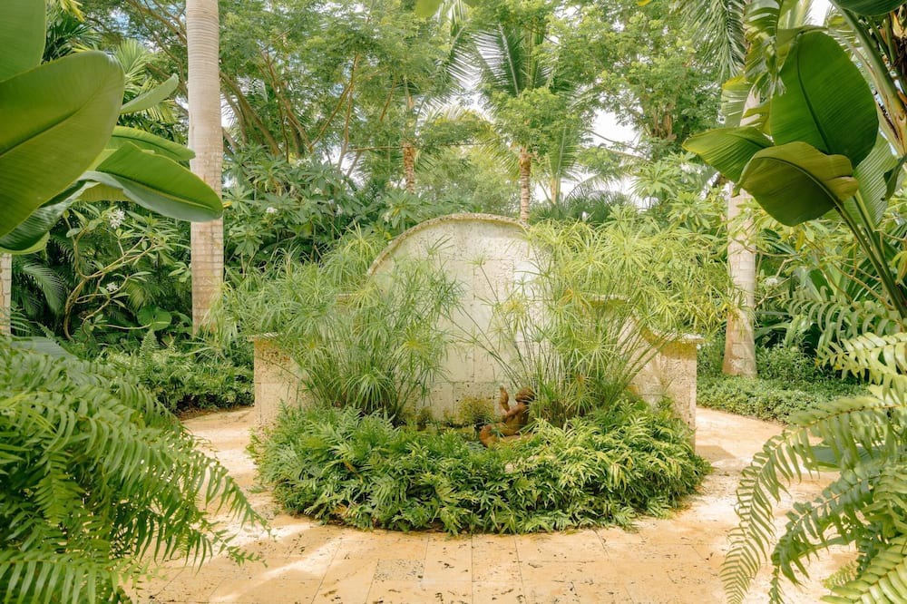 Photo of Outdoor in Punta Cana