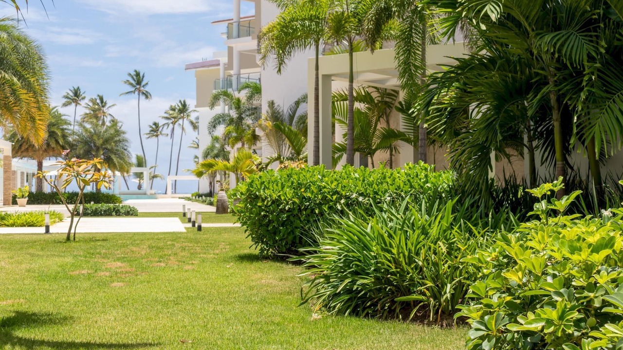 Photo of Others in Bavaro