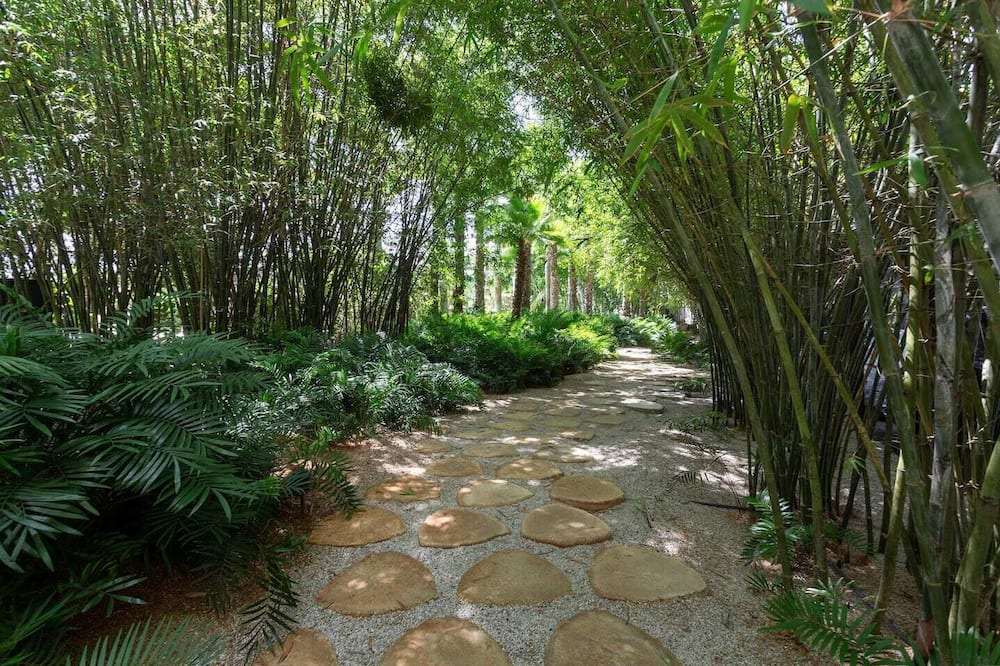 Photo of Outdoor in Casa de Campo