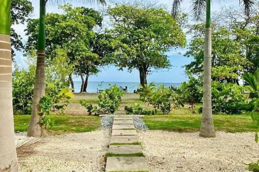 Photo of Outdoor in Sabana Palenque