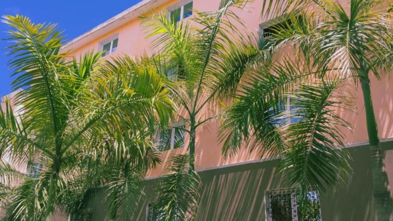 Photo of Outdoor in Bavaro