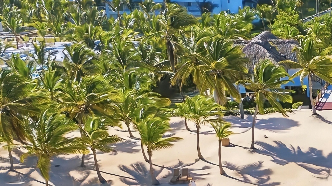 Photo of Others in Bavaro