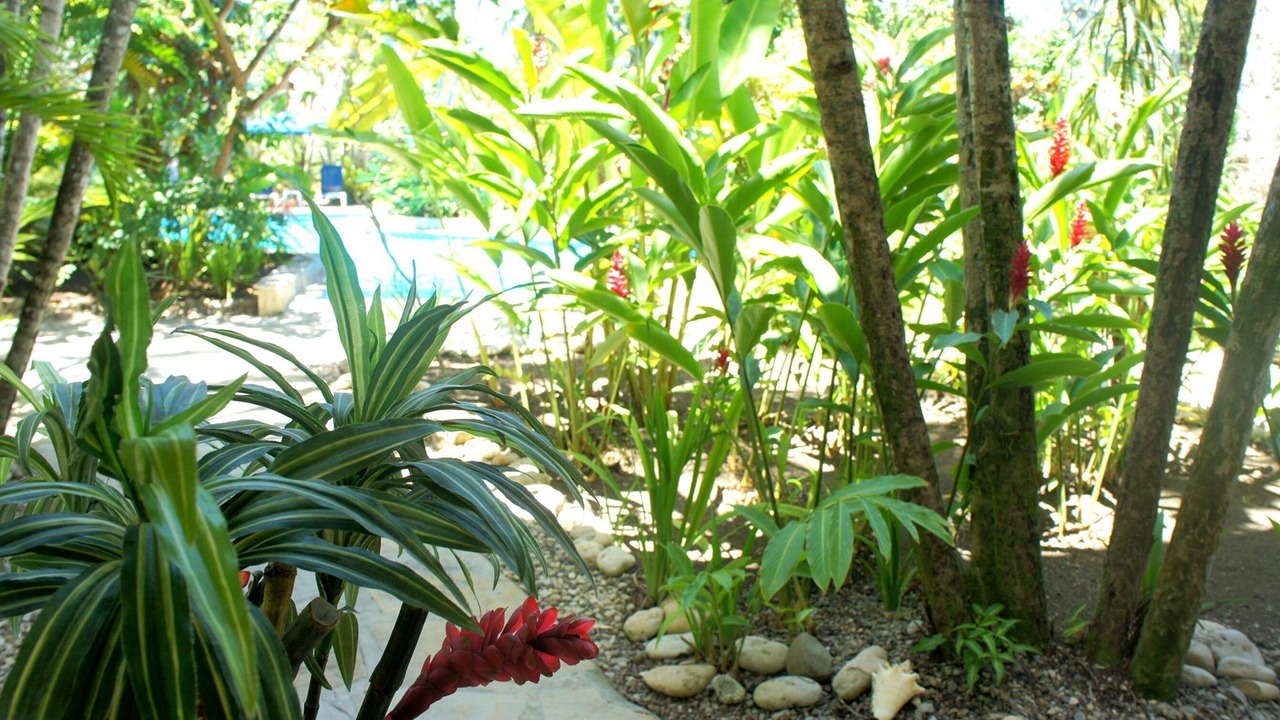 Photo of Outdoor in ProCab