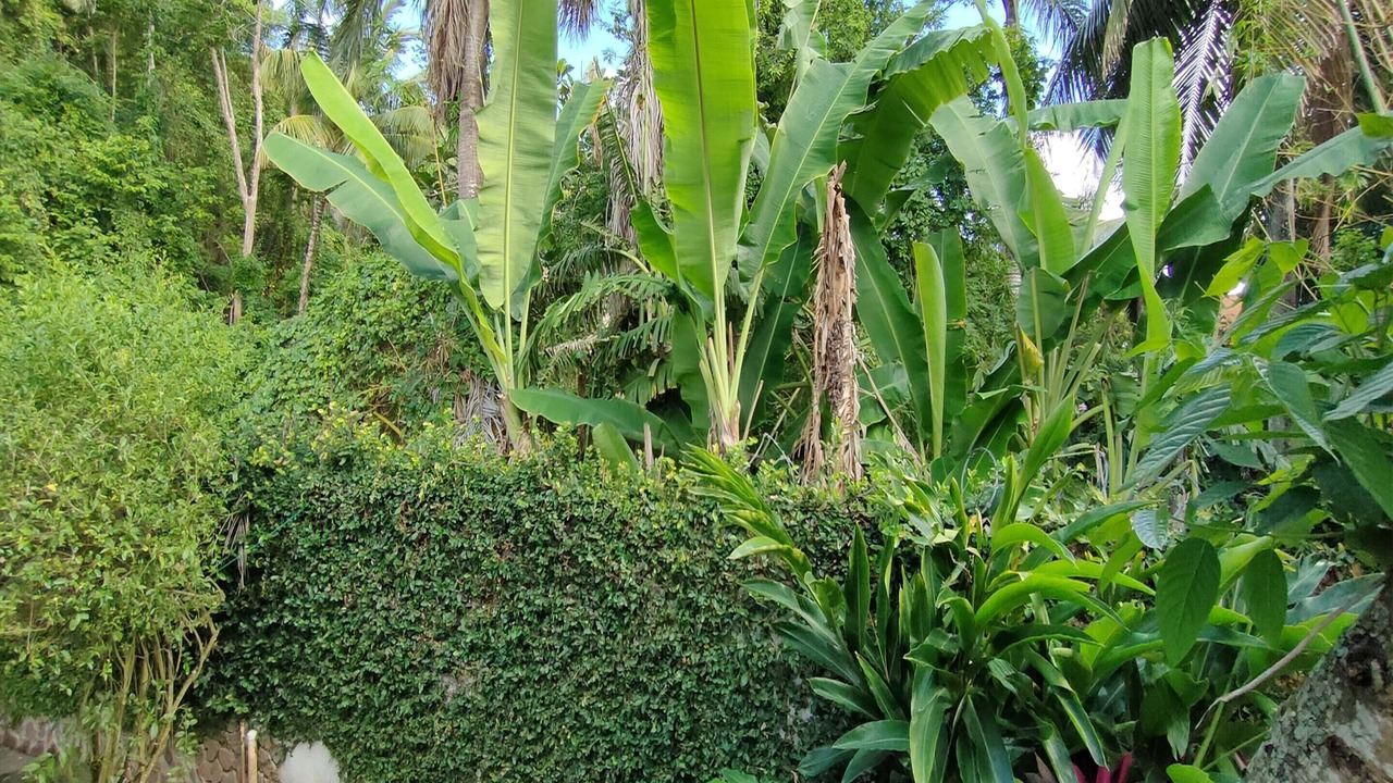 Photo of Outdoor in El Callejon